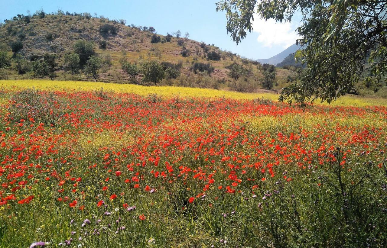 Magina Dream La Guardia Turismo Rural La Guardia de Jaén 外观 照片